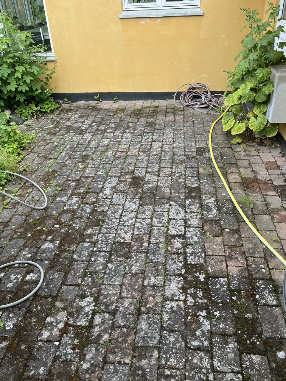 Belægning ved gul mur før rensning