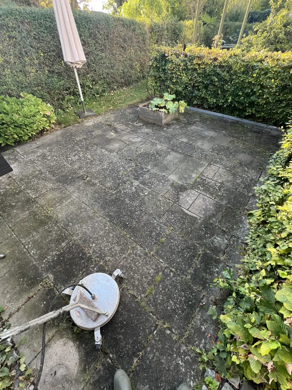 Terrasse med grønne fliser før fliserens